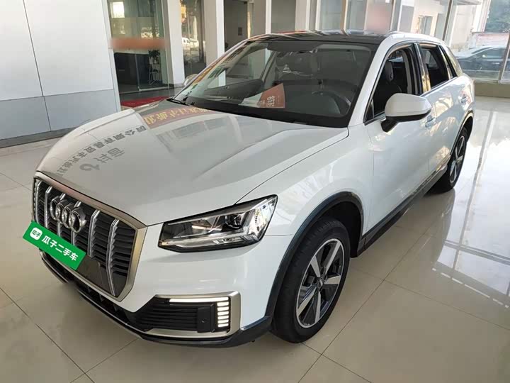 Audi Q2L e-tron 2019 2019款 Q2L e-tron 纯电智享型