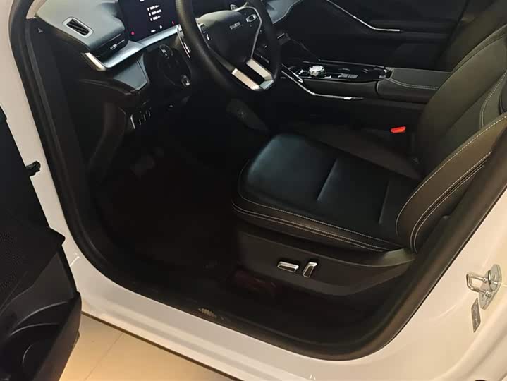 Haval H6 2024 2024款 1.5T 两驱经典版