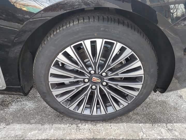 Hongqi H9 2024 2024款 2.0T 旗享 豪华商务版