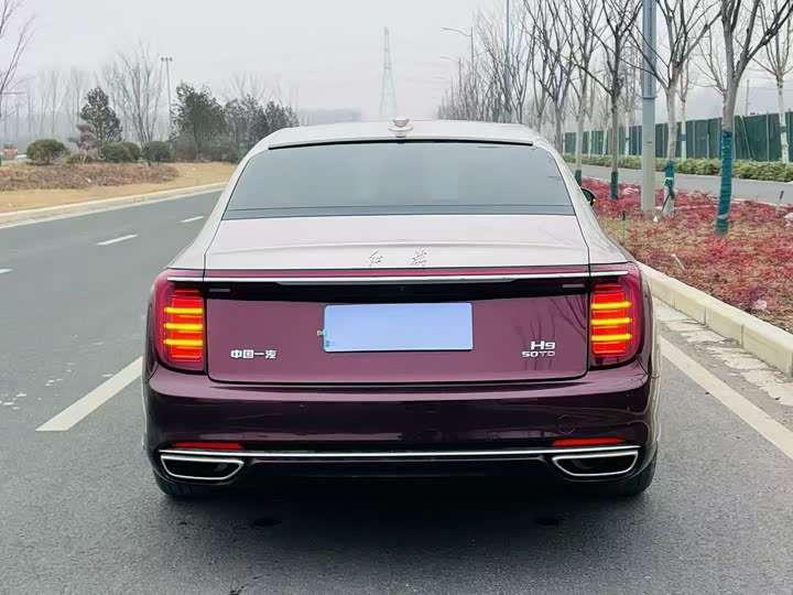 Hongqi H9 2024 2024款 2.0T 旗享 豪华商务版
