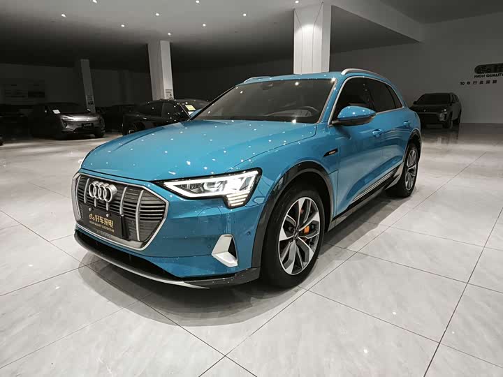 Audi e-tron 2019 2019款 55 quattro 全球限量版Edition 1
