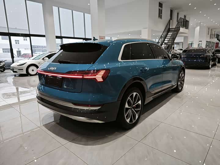 Audi e-tron 2019 2019款 55 quattro 全球限量版Edition 1