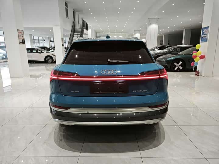 Audi e-tron 2019 2019款 55 quattro 全球限量版Edition 1