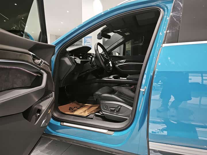 Audi e-tron 2019 2019款 55 quattro 全球限量版Edition 1