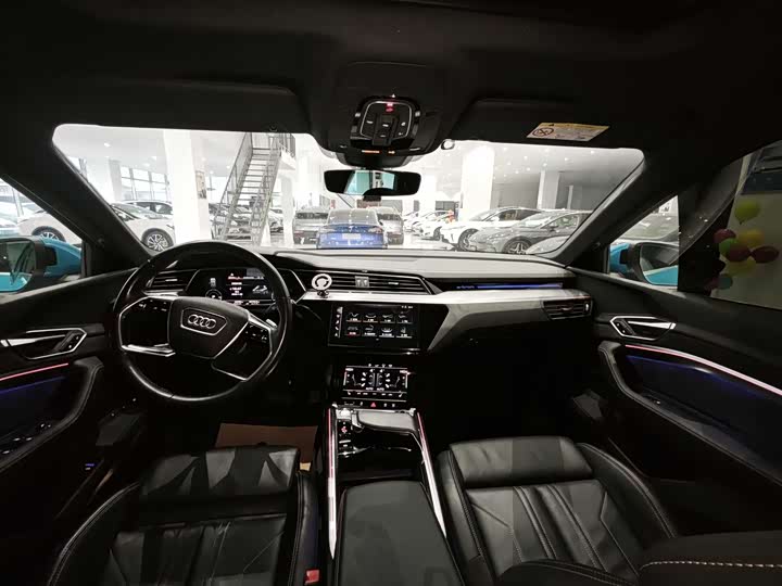 Audi e-tron 2019 2019款 55 quattro 全球限量版Edition 1