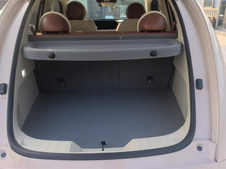 Ora Ballet Cat 2023 2023款 401km 尊贵型