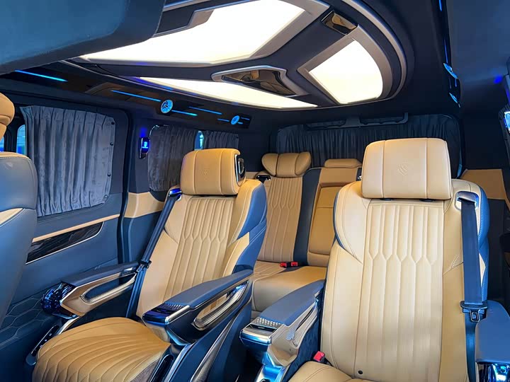 Ford Tourneo 2024 2024款 2.0T 自动致尊Plus版