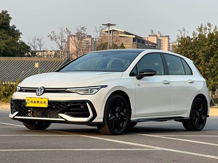 Volkswagen Golf 2025 2025款 300TSI R-Line