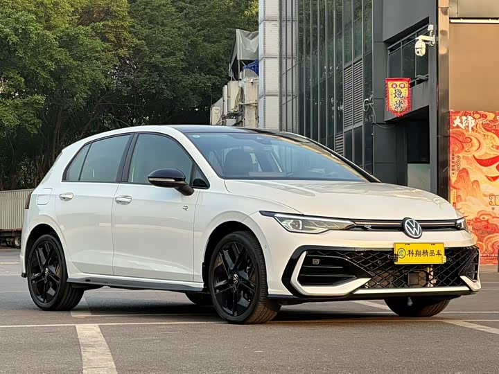 Volkswagen Golf 2025 2025款 300TSI R-Line