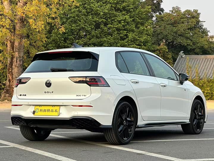 Volkswagen Golf 2025 2025款 300TSI R-Line