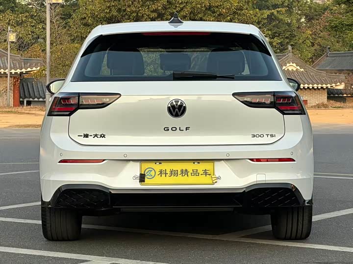 Volkswagen Golf 2025 2025款 300TSI R-Line