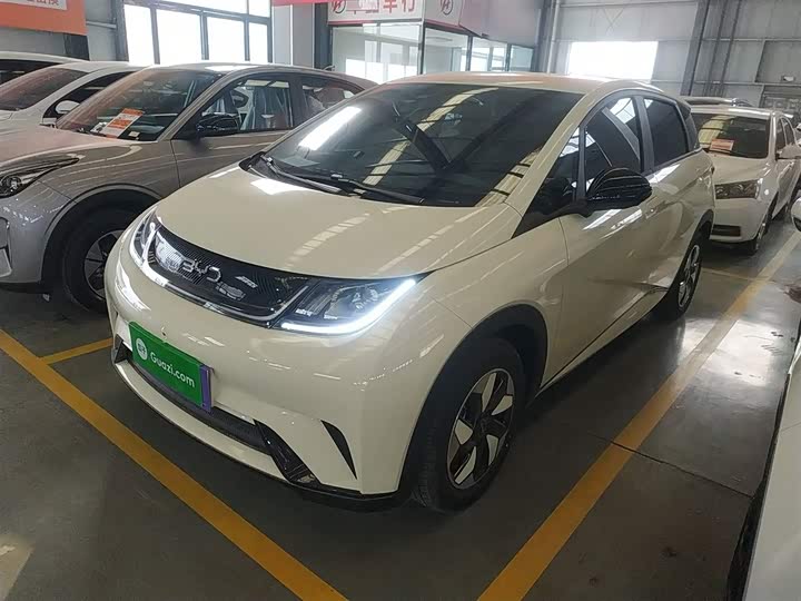 BYD Dolphin 2025 2025款 420km 自由版