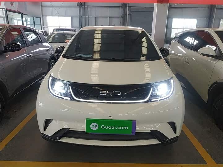 BYD Dolphin 2025 2025款 420km 自由版