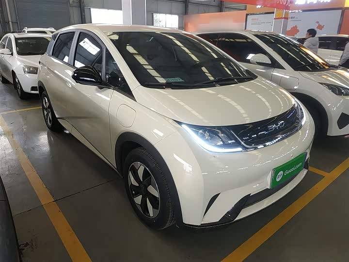 BYD Dolphin 2025 2025款 420km 自由版