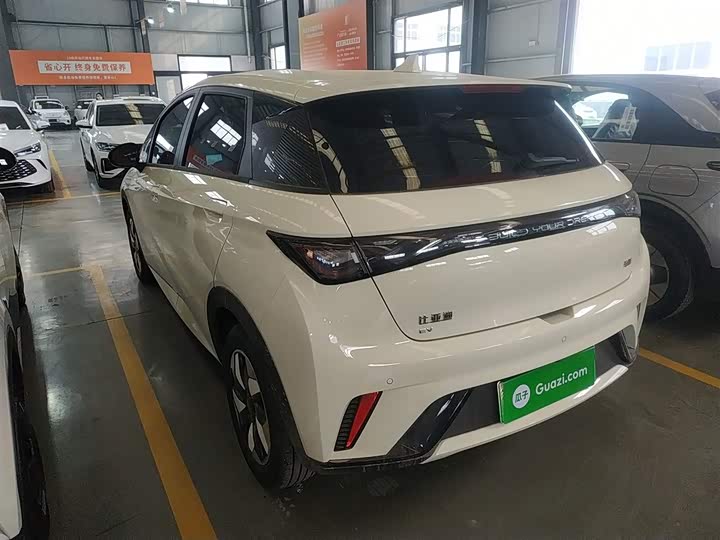 BYD Dolphin 2025 2025款 420km 自由版