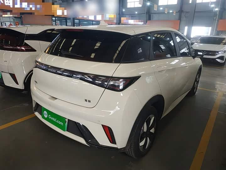 BYD Dolphin 2025 2025款 420km 自由版