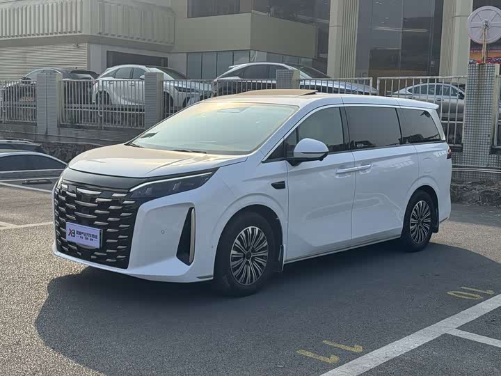 BYD Xia 2025 2025款 DM-i 1.5T 100km 超越型