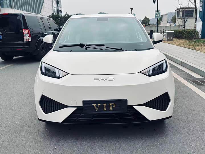 BYD Seagull 2025 2025款 智驾版 305km 活力版