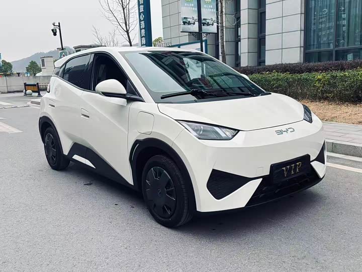 BYD Seagull 2025 2025款 智驾版 305km 活力版