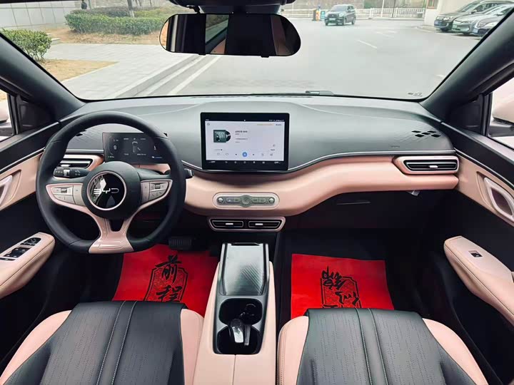 BYD Seagull 2025 2025款 智驾版 305km 活力版