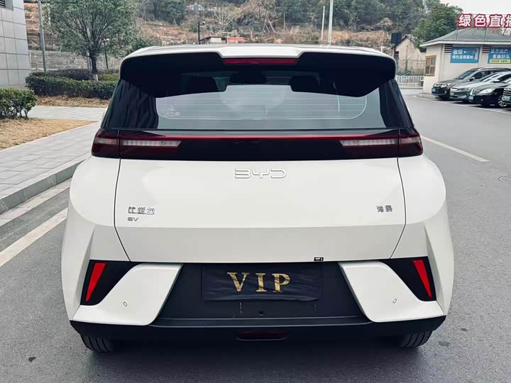 BYD Seagull 2025 2025款 智驾版 305km 活力版