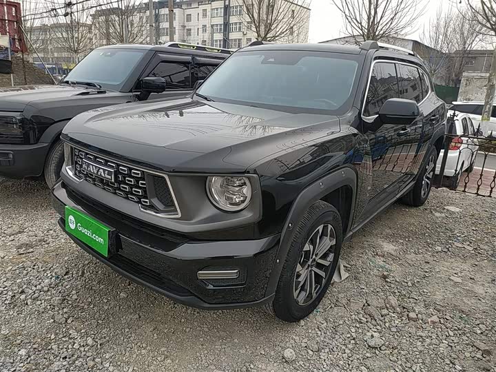 Haval H-Dog 2023 2023款 1.5T 两驱潮野版Plus