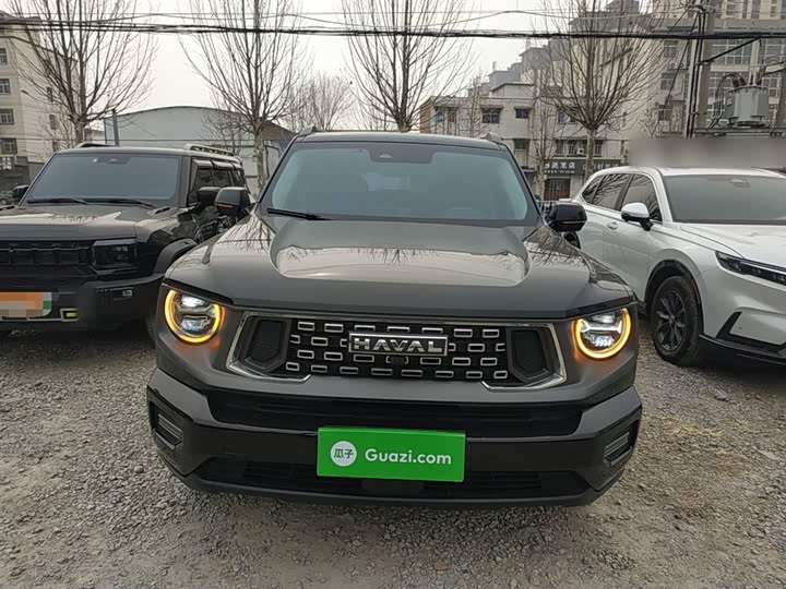 Haval H-Dog 2023 2023款 1.5T 两驱潮野版Plus