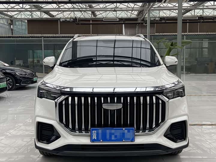 Geely Okavango L 2024 2024款 2.0T DCT尊贵型