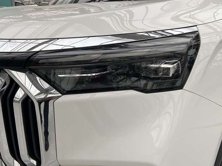 Geely Okavango L 2024 2024款 2.0T DCT尊贵型