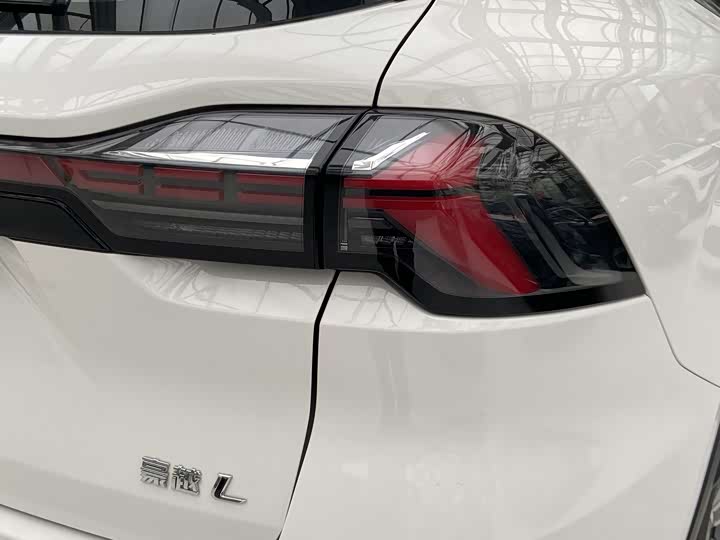 Geely Okavango L 2024 2024款 2.0T DCT尊贵型