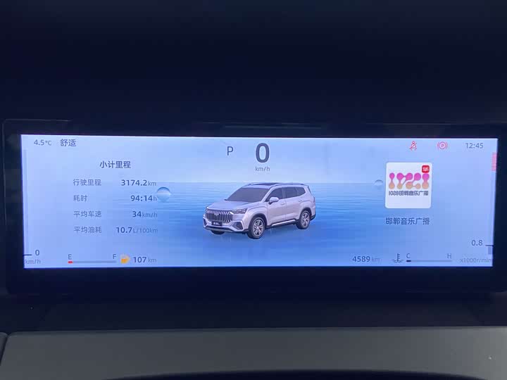 Geely Okavango L 2024 2024款 2.0T DCT尊贵型