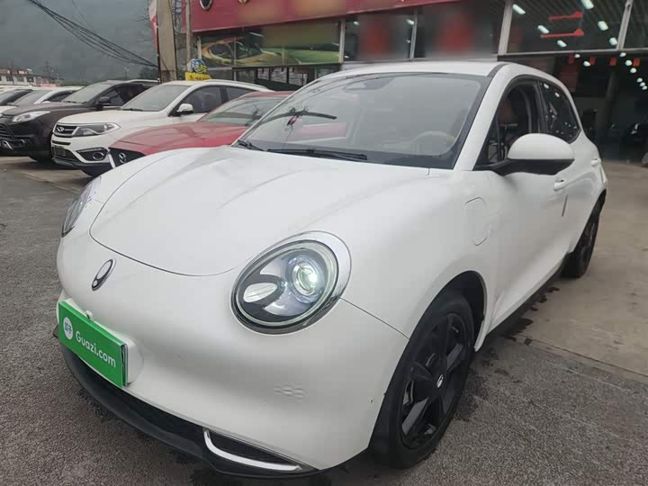 Ora Good Cat (03) 2024 2024款 401km 豪华型