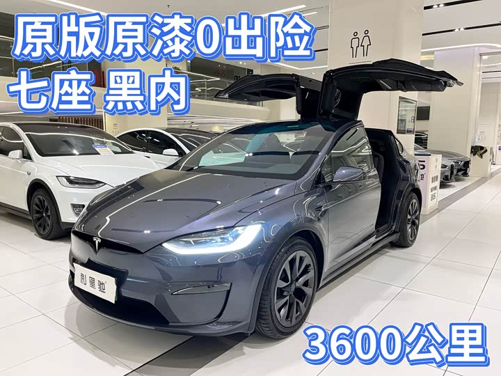 Tesla Model X 2023 2023款 双电机全轮驱动版