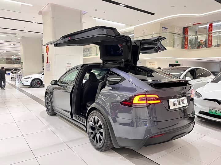 Tesla Model X 2023 2023款 双电机全轮驱动版