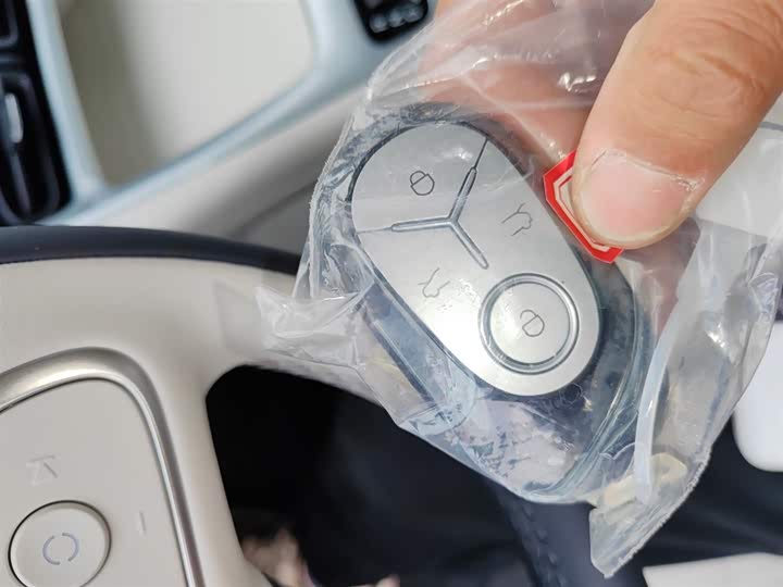 Geely Galaxy Geome 2026 2026款 310km 青春版