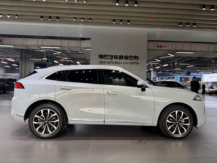 Wey Mocha 2021 2021款 2.0T 四驱特醇版