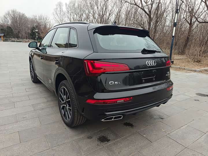 Audi Q5L 2025 2025款 45周年典藏版 45 TFSI 豪华动感型