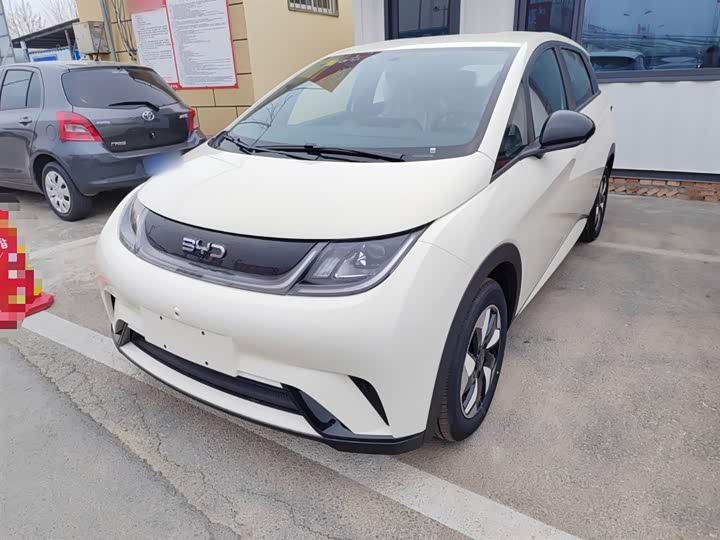 BYD Dolphin 2025 2025款 420km 自由版