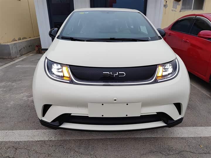 BYD Dolphin 2025 2025款 420km 自由版