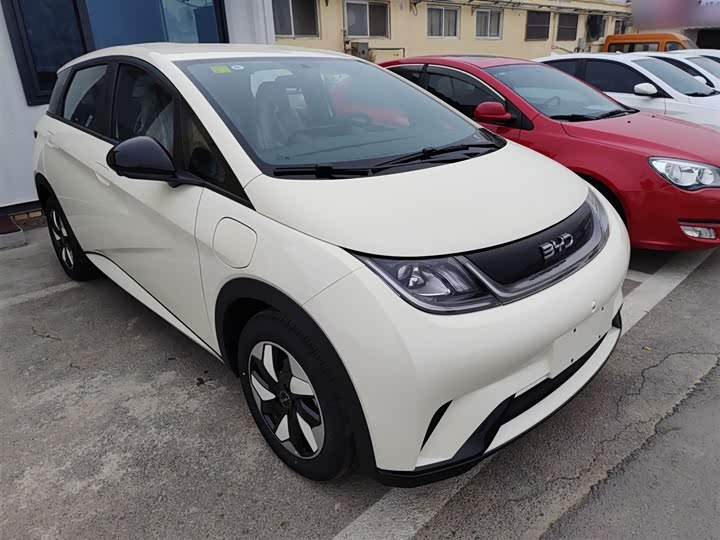 BYD Dolphin 2025 2025款 420km 自由版