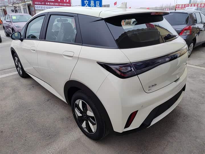 BYD Dolphin 2025 2025款 420km 自由版