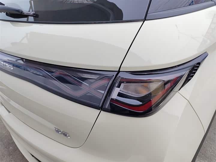 BYD Dolphin 2025 2025款 420km 自由版