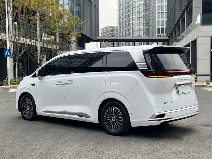 Denza D9 2025 2025款 DM-i 智驾版 1020 四驱尊享型