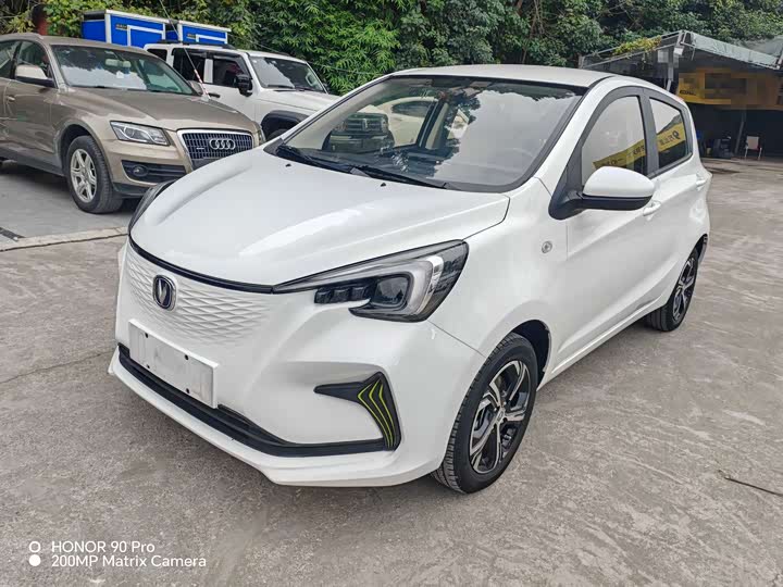 2022 Changan BenBen E-Star