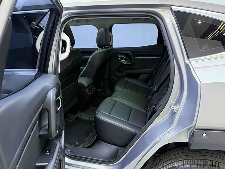 2024 Haval H-Dog Hybrid