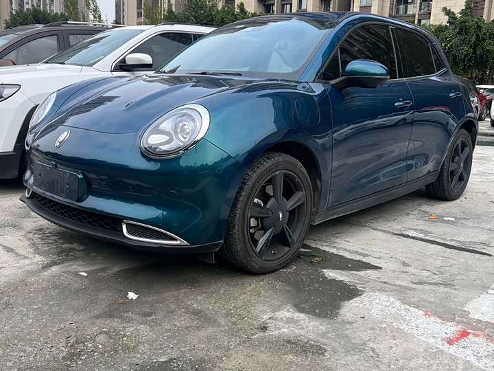 Ora Good Cat (03) 2024 2024款 501km 豪华型