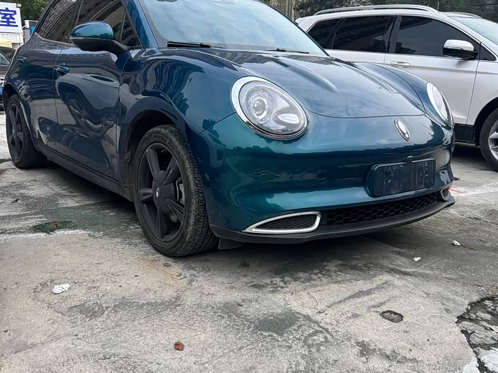 Ora Good Cat (03) 2024 2024款 501km 豪华型