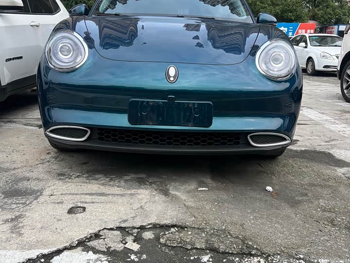 Ora Good Cat (03) 2024 2024款 501km 豪华型