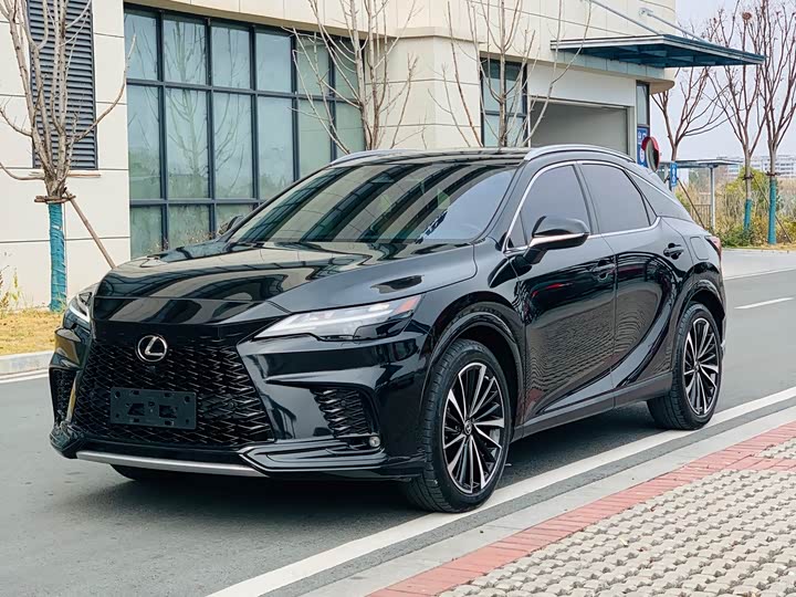 Lexus RX 2023 2023款 350h 两驱悦享版