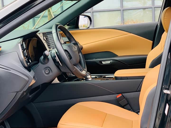 Lexus RX 2023 2023款 350h 两驱悦享版